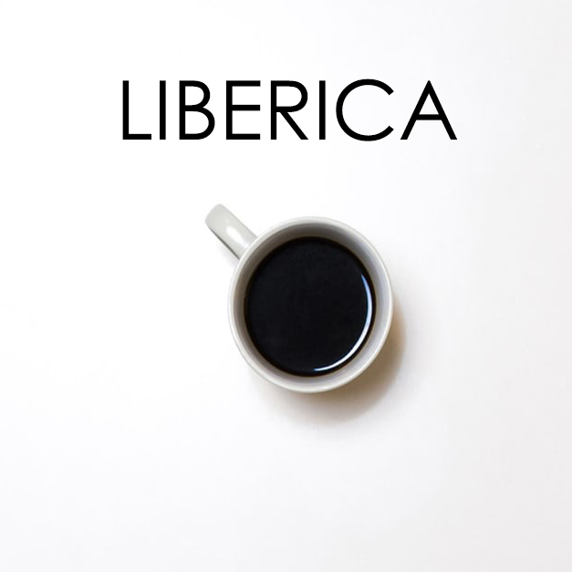 LIBERICA