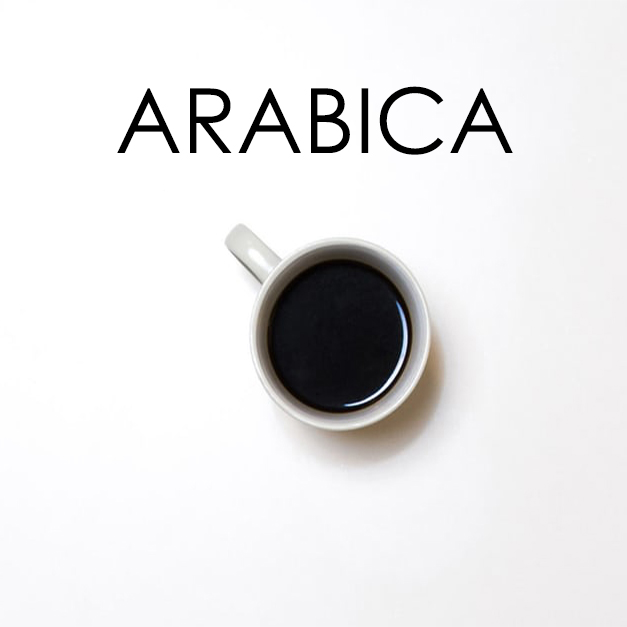 arabika